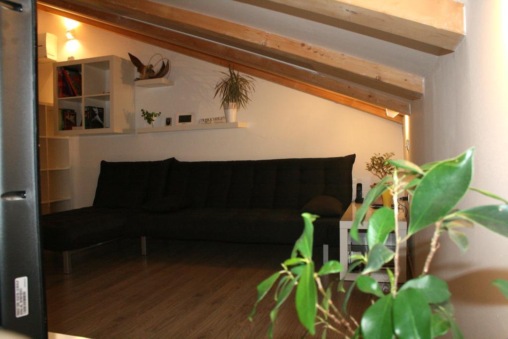 Olive Charm Umag