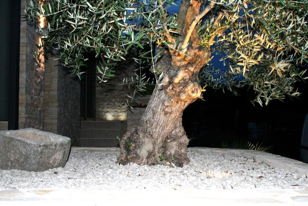 Apartment Olive Charm Umag